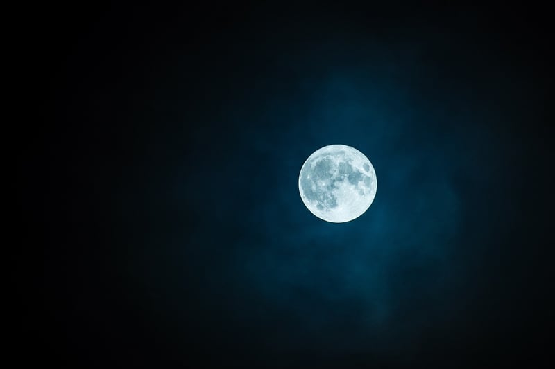 Moon Surface Backdrop